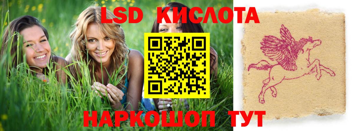 ЛСД экстази кислота  Вход с VPN  Камышин  Лсд 25 экстази ecstasy 