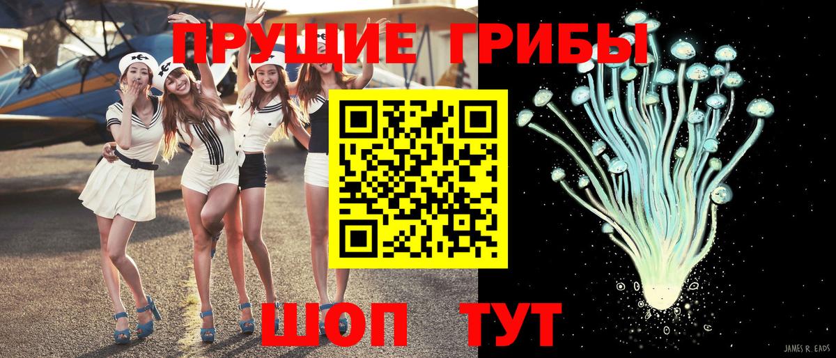 Камышин  Псилоцибиновые грибы ЛСД  Вход с VPN 