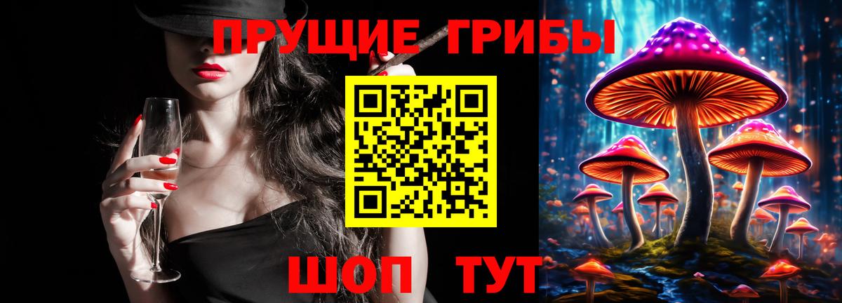 A-PVP Камышин